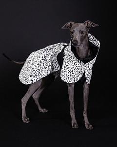 Водонепроницаемый светоотражающий плащ-дождевик для собак, светящийся ночью PAIKKA Raincoat 2.0