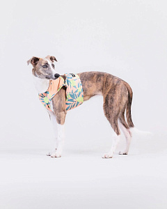 Охолоджуючий жилет для собак PAIKKA Cool Vest Peach Lemon