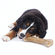 Ласощі та кістки